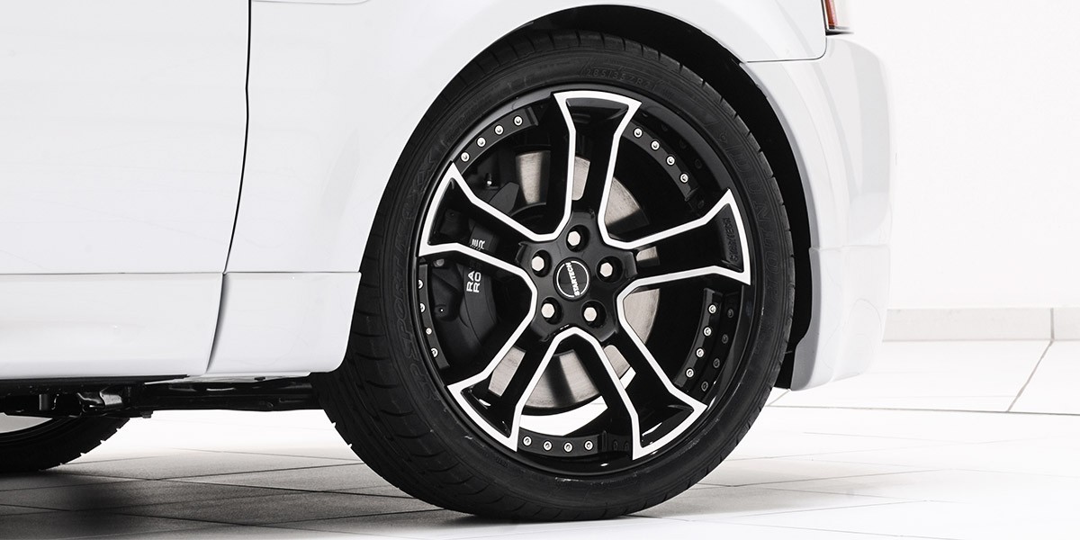 LAND ROVER range rover sport 2010 photo 9